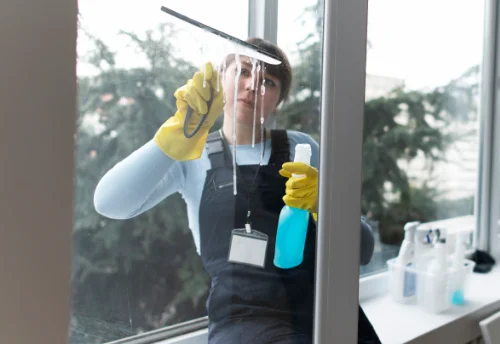 Nettoyage de vitres intérieures et extérieures à Nully